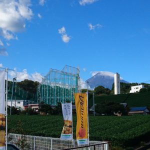 コンビニから眺める茶畑と富士山